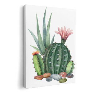 A[gpl G G  IׂTCY 210×148 mm A5 _  ʐ^ tHg CeA  015950 T{e@A