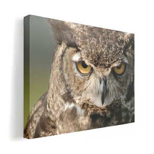A[gpl G G  IׂTCY 210×148 mm A5 _  ʐ^ tHg CeA  016308 tNE@ʐ^
