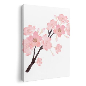 A[gpl G G  IׂTCY 210×148 mm A5 _  ʐ^ tHg CeA  016455 @A