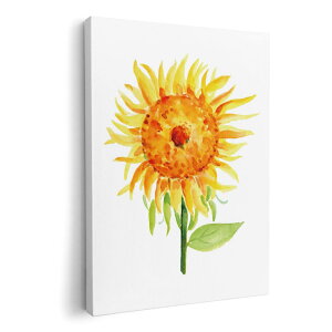 A[gpl G G  IׂTCY 210×148 mm A5 _  ʐ^ tHg CeA  017807 Ђ܂@ā@Tt[