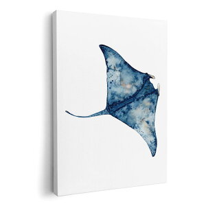 A[gpl G G  IׂTCY 210×148 mm A5 _  ʐ^ tHg CeA  017847 Underwater@}^@GC@C̒