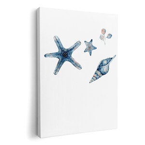 A[gpl G G  IׂTCY 210×148 mm A5 _  ʐ^ tHg CeA  017850 Underwater@qgf@Lk@C̒