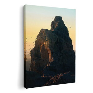 A[gpl G G  IׂTCY 210×148 mm A5 _  ʐ^ tHg CeA  018301 i R [