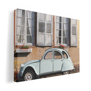 A[gpl G G  IׂTCY 210×148 mm A5 _  ʐ^ tHg CeA  018310 A[g g i 