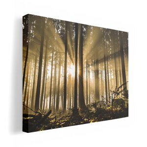 A[gpl G G  IׂTCY 210×148 mm A5 _  ʐ^ tHg CeA  018321 X ʐ^