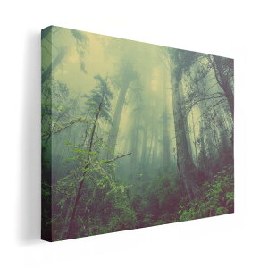 A[gpl G G  IׂTCY 210×148 mm A5 _  ʐ^ tHg CeA  018322 X ʐ^