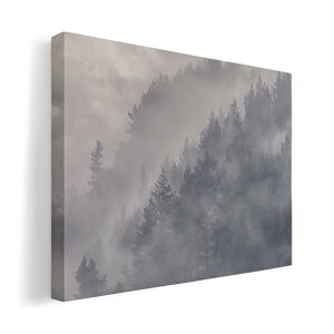 A[gpl G G  IׂTCY 210×148 mm A5 _  ʐ^ tHg CeA  018323 X ʐ^