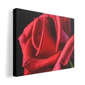 �A�[�g�p�l�� �G �G�� ���� �I�ׂ�T�C�Y 210×148 mm A5 ���_�� ���� �ʐ^ �t�H�g �C���e���A ������� 018330 �ʐ^ �o��
