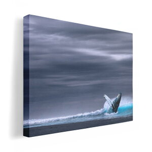 A[gpl G G  IׂTCY 210×148 mm A5 _  ʐ^ tHg CeA  018334 ʐ^ C NW
