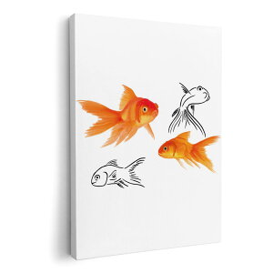 A[gpl G G  IׂTCY 210×148 mm A5 _  ʐ^ tHg CeA  019751  Goldfish 