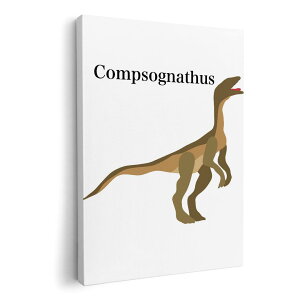 �A�[�g�p�l�� �G �G�� ���� �I�ׂ�T�C�Y 210×148 mm A5 ���_�� ���� �ʐ^ �t�H�g �C���e���A ������� 019778 ���� Compsognathus �R���v�\�O�i�g�D�X
