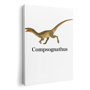 �A�[�g�p�l�� �G �G�� ���� �I�ׂ�T�C�Y 210×148 mm A5 ���_�� ���� �ʐ^ �t�H�g �C���e���A ������� 019779 ���� Compsognathus �R���v�\�O�i�g�D�X