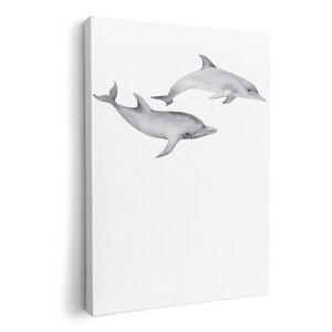 A[gpl G G  IׂTCY 210×148 mm A5 _  ʐ^ tHg CeA  019927 C̐ 邩