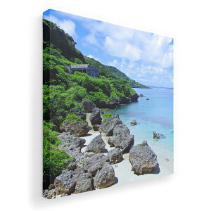 A[gpl G G  IׂTCY 455×455mm  XNGA _  ʐ^ tHg CeA  000057 C@R