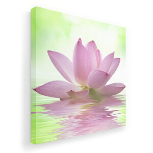 A[gpl G G  IׂTCY 455×455mm  XNGA _  ʐ^ tHg CeA  000147 @@ʁ@