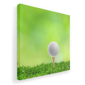 A[gpl G G  IׂTCY 333×333mm  XNGA _  ʐ^ tHg CeA  000218 St@Vbg@Ő