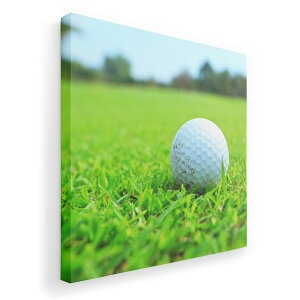 A[gpl G G  IׂTCY 333×333mm  XNGA _  ʐ^ tHg CeA  000255 St@Ő@X|[c