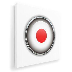 A[gpl G G  IׂTCY 455×455mm  XNGA _  ʐ^ tHg CeA  000264 {@@}[N