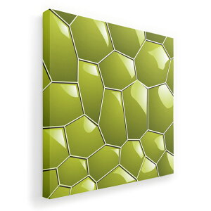 A[gpl G G  IׂTCY 455×455mm  XNGA _  ʐ^ tHg CeA  000495 ou@