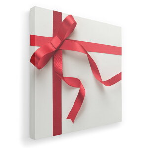 A[gpl G G  IׂTCY 455×455mm  XNGA _  ʐ^ tHg CeA  000865 {@v[g