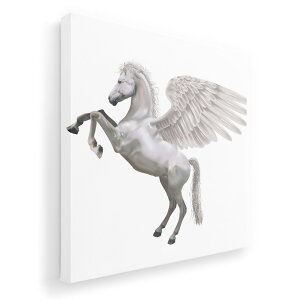 A[gpl G G  IׂTCY 333×333mm  XNGA _  ʐ^ tHg CeA  000880 yKTX@n