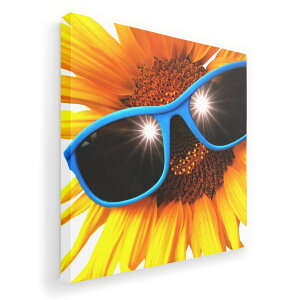 A[gpl G G  IׂTCY 455×455mm  XNGA _  ʐ^ tHg CeA  000940 Ђ܂@TOX