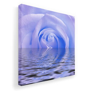 A[gpl G G  IׂTCY 333×333mm  XNGA _  ʐ^ tHg CeA  001018 KN@C