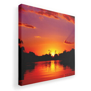 A[gpl G G  IׂTCY 455×455mm  XNGA _  ʐ^ tHg CeA  001033 [@