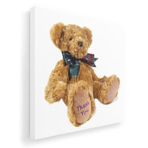 A[gpl G G  IׂTCY 333×333mm  XNGA _  ʐ^ tHg CeA  001105 eBfBxA@N}