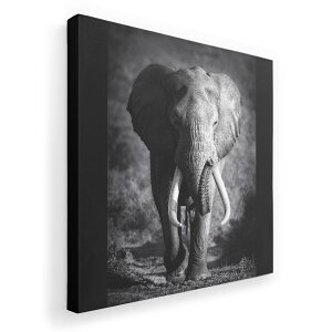 �A�[�g�p�l�� �G �G�� ���� �I�ׂ�T�C�Y 455×455mm ���� �X�N�G�A ���_�� ���� �ʐ^ �t�H�g �C���e���A ������� 001211 �]�E�@�����@���m�N��