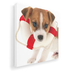 A[gpl G G  IׂTCY 333×333mm  XNGA _  ʐ^ tHg CeA  001242 @