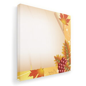 A[gpl G G  IׂTCY 455×455mm  XNGA _  ʐ^ tHg CeA  001298 gt@H