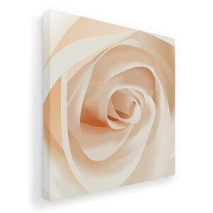 A[gpl G G  IׂTCY 455×455mm  XNGA _  ʐ^ tHg CeA  001322 ԁ@KN