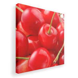 A[gpl G G  IׂTCY 455×455mm  XNGA _  ʐ^ tHg CeA  001597 ځ@ʎ