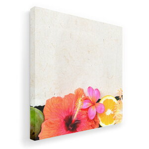 A[gpl G G  IׂTCY 455×455mm  XNGA _  ʐ^ tHg CeA  001637 nCrXJX@썑