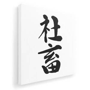 A[gpl G G  IׂTCY 455×455mm  XNGA _  ʐ^ tHg CeA  001712 {@