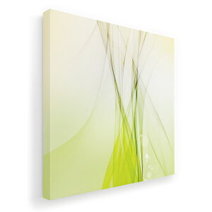 A[gpl G G  IׂTCY 455×455mm  XNGA _  ʐ^ tHg CeA  001801 Vv@͗l@