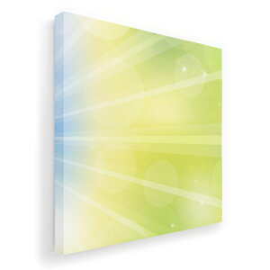 A[gpl G G  IׂTCY 455×455mm  XNGA _  ʐ^ tHg CeA  001818 Vv@͗l@