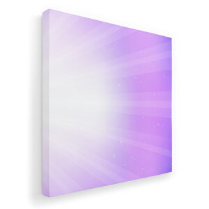 A[gpl G G  IׂTCY 455×455mm  XNGA _  ʐ^ tHg CeA  002029 Vv@