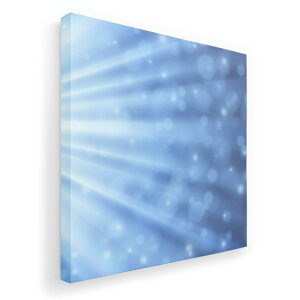 A[gpl G G  IׂTCY 455×455mm  XNGA _  ʐ^ tHg CeA  002160 Vv@