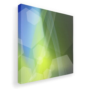 A[gpl G G  IׂTCY 455×455mm  XNGA _  ʐ^ tHg CeA  002236 ͗l@΁@