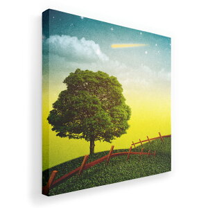 A[gpl G G  IׂTCY 455×455mm  XNGA _  ʐ^ tHg CeA  002555 iF@i@CXg