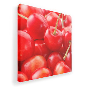 A[gpl G G  IׂTCY 455×455mm  XNGA _  ʐ^ tHg CeA  002646 ʕ@ʐ^