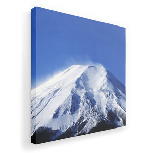 A[gpl G G  IׂTCY 455×455mm  XNGA _  ʐ^ tHg CeA  002740 iF@i@ʐ^