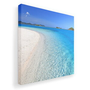 A[gpl G G  IׂTCY 455×455mm  XNGA _  ʐ^ tHg CeA  002778 ā@C@ʐ^