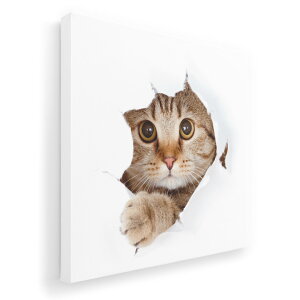 A[gpl G G  IׂTCY 333×333mm  XNGA _  ʐ^ tHg CeA  002783 L@@ʐ^