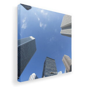 A[gpl G G  IׂTCY 455×455mm  XNGA _  ʐ^ tHg CeA  002792 iF@i@ʐ^