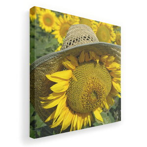 A[gpl G G  IׂTCY 455×455mm  XNGA _  ʐ^ tHg CeA  002800 Ђ܂@ԁ@ʐ^