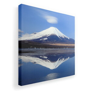 A[gpl G G  IׂTCY 333×333mm  XNGA _  ʐ^ tHg CeA  002812 iF@i@ʐ^