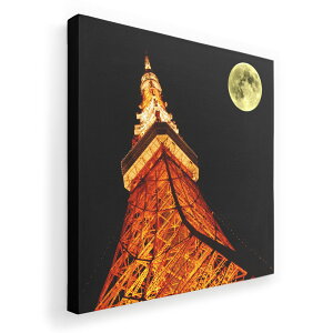 A[gpl G G  IׂTCY 333×333mm  XNGA _  ʐ^ tHg CeA  002836 iF@i@ʐ^